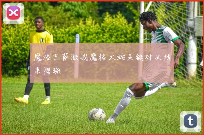 魔格巴萨激战魔格大蛇关键对决结果揭晓
