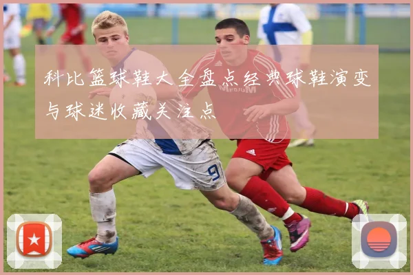 科比篮球鞋大全盘点经典球鞋演变与球迷收藏关注点