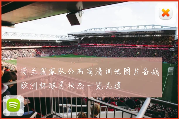 荷兰国家队公布高清训练图片备战欧洲杯球员状态一览无遗